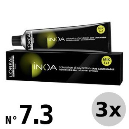 Inoa 7.3